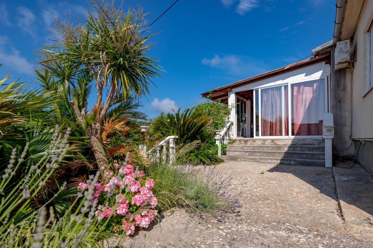 Apartments Ruza Dragove Dugi Otok מראה חיצוני תמונה