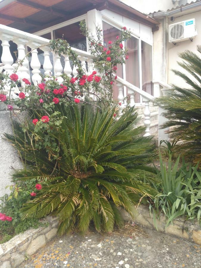 Apartments Ruza Dragove Dugi Otok מראה חיצוני תמונה